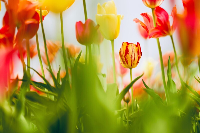 Spring_0407.jpg