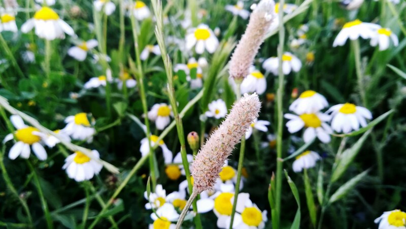 Spring_0428.jpg