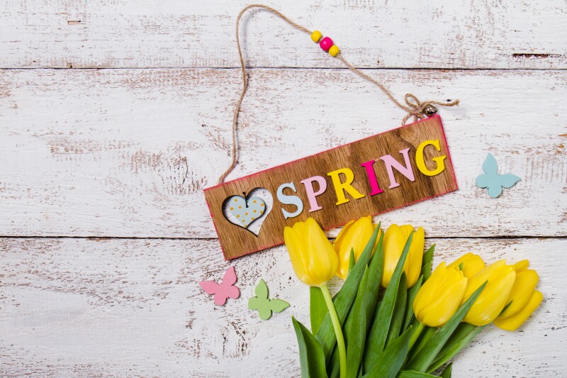 Spring_0539.jpg