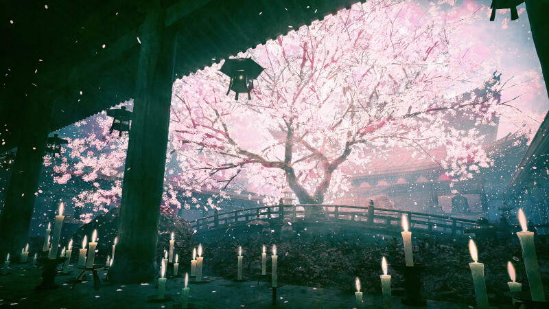 Spring_0573.jpg