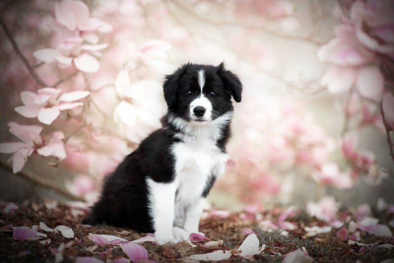 Spring_0828.jpg