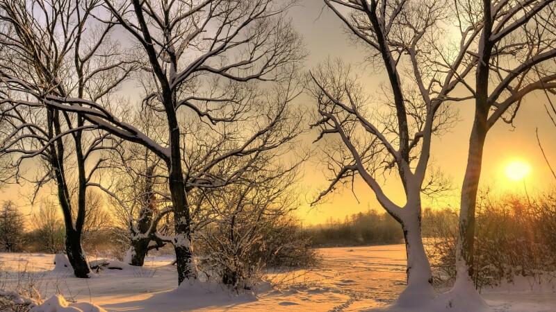 Sunbeam_0020.jpg