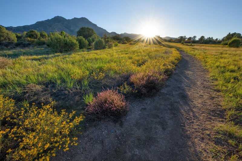 Sunbeam_0360.jpg