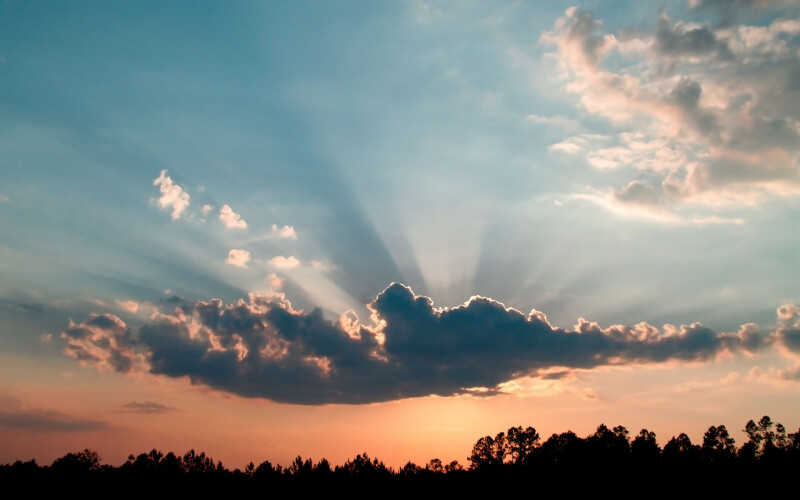 Sunbeam_0545.jpg