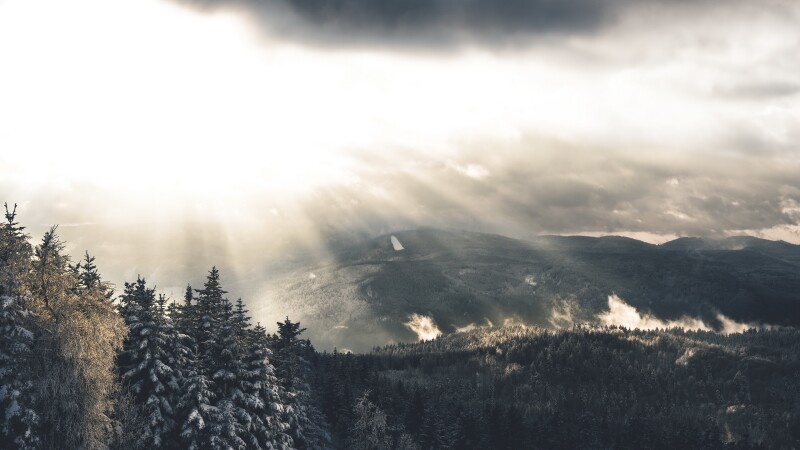 Sunbeam_0735.jpg