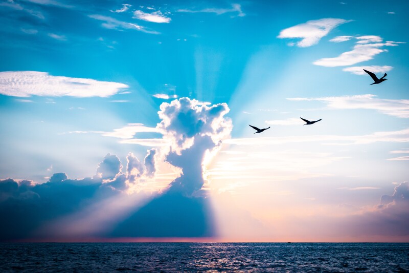 Sunbeam_0746.jpg