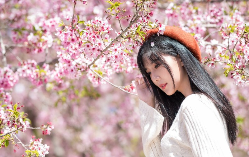 Blossom_0740.jpg