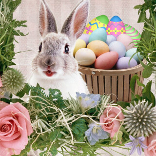 Easter-Egg_0005