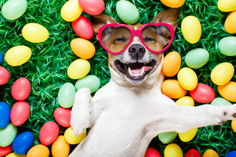 Easter-Egg_0123.jpg