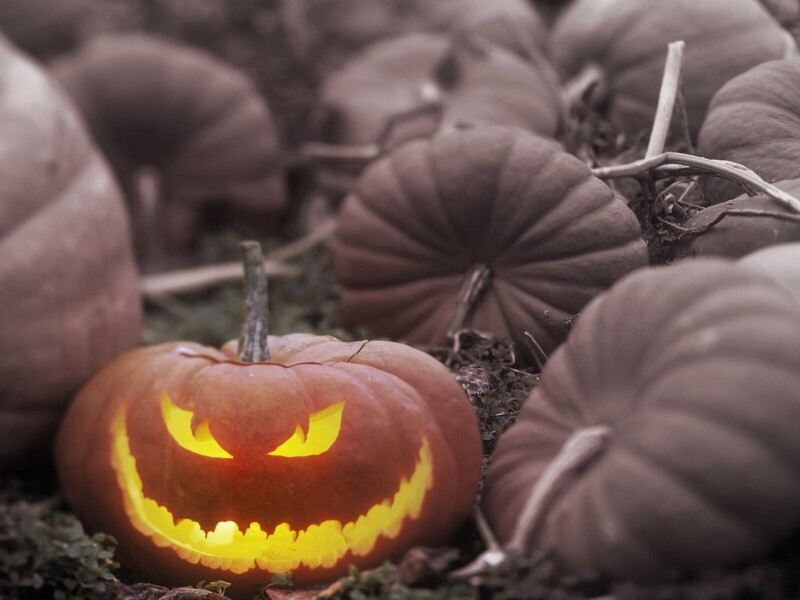 Halloween_0156.jpg