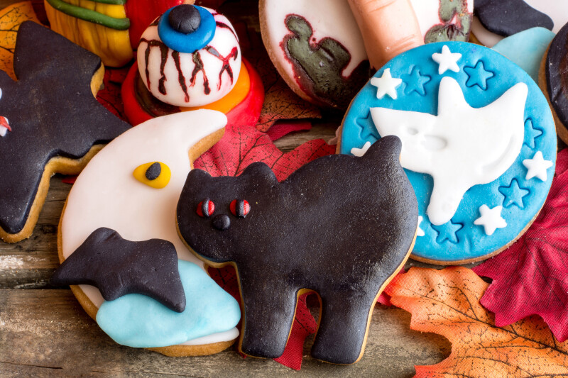 Halloween_0247.jpg