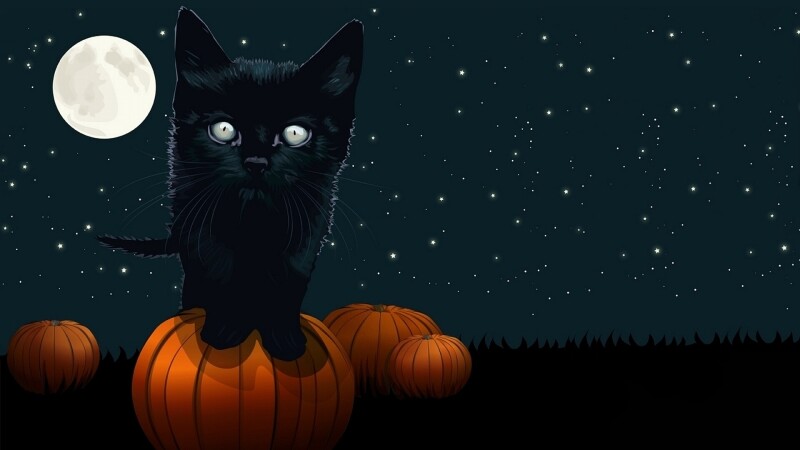 Halloween_0449.jpg