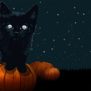 Halloween_0449