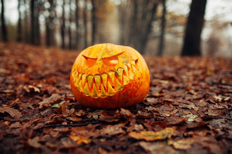 Halloween_0531.jpg