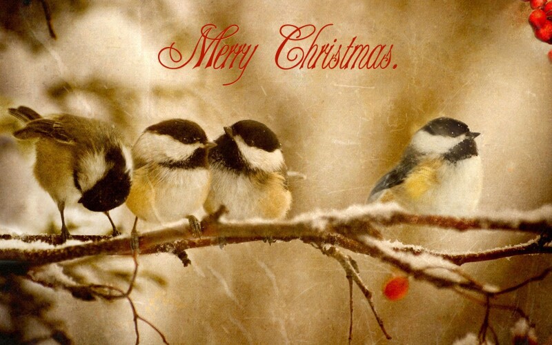 Merry-Christmas_0010.jpg