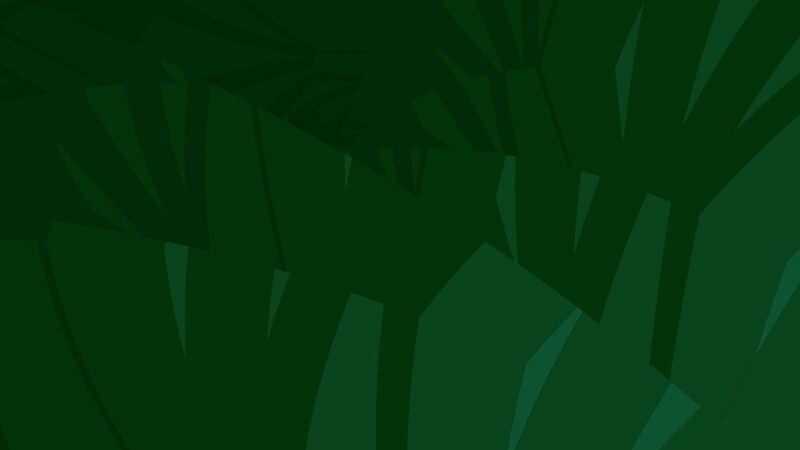 Palm-Tree_0282.jpg