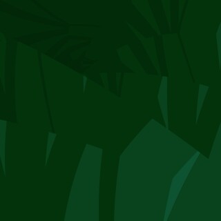 Palm-Tree_0282