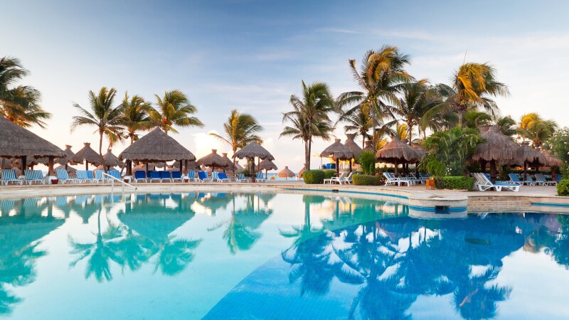 Palm-Tree_0287.jpg