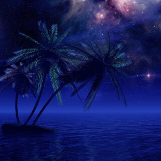 Palm-Tree_0313