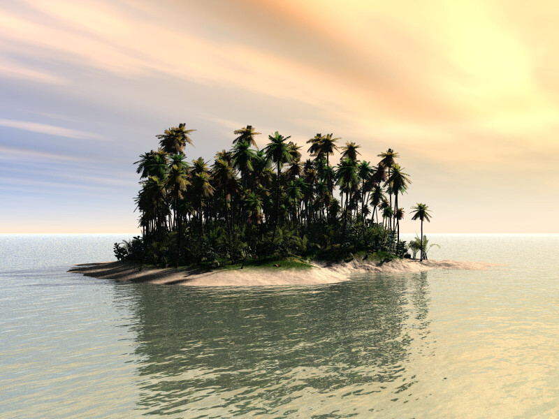 Palm-Tree_0322.jpg