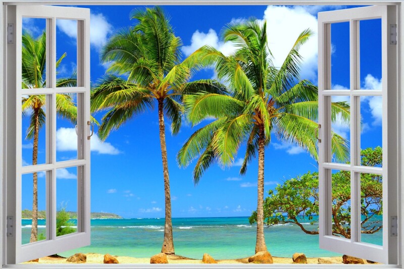 Palm-Tree_0331.jpg