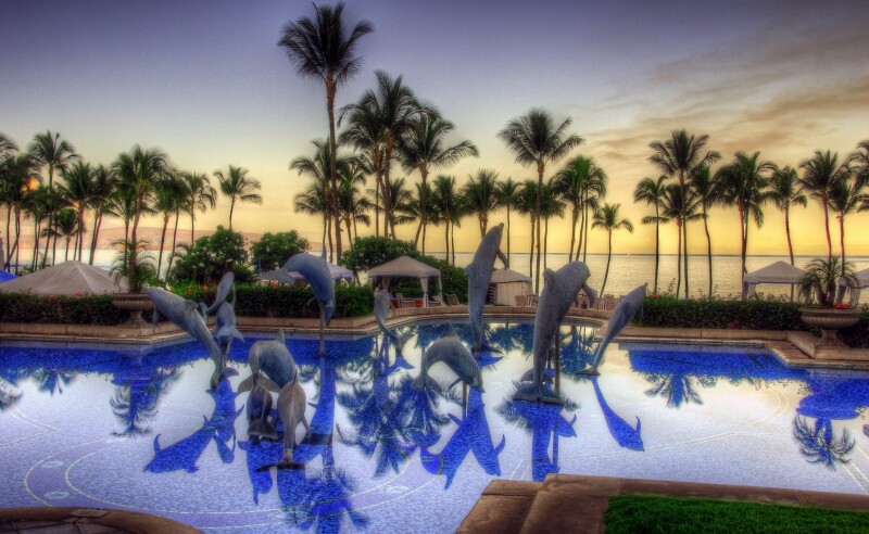 Palm-Tree_0409.jpg