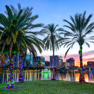 Palm-Tree_0418