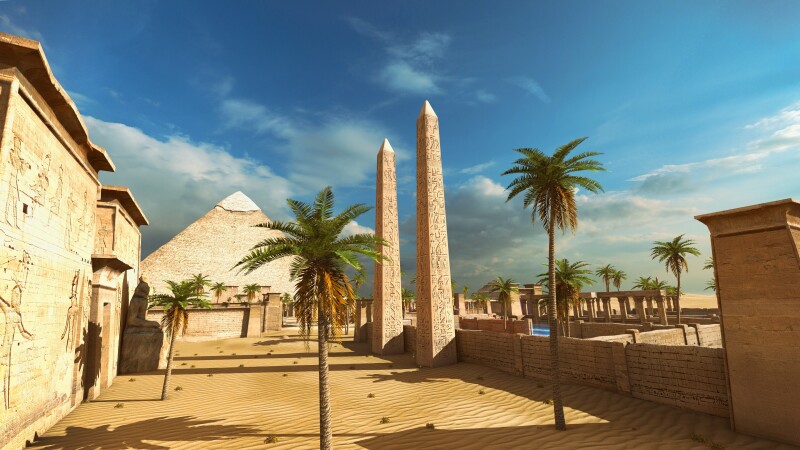 Palm-Tree_0431.jpg