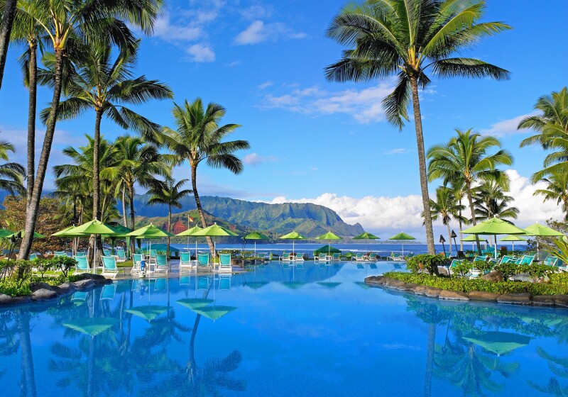 Palm-Tree_0459.jpg