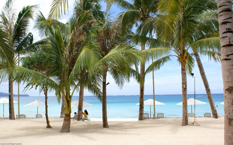 Palm-Tree_0471.jpg
