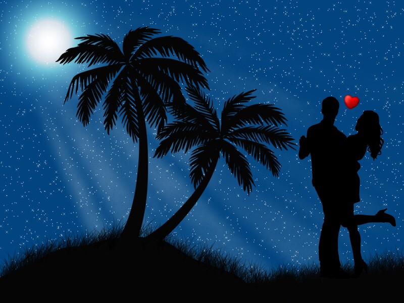 Palm-Tree_0475.jpg