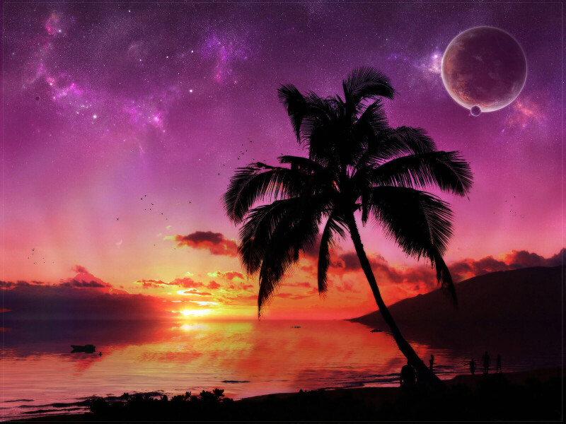 Palm-Tree_0505.jpg