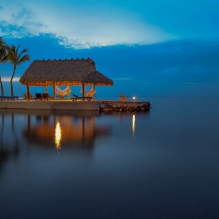 Palm-Tree_0682