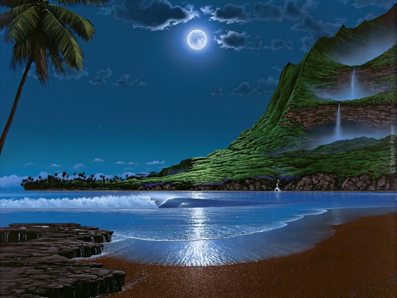 Palm-Tree_0702.jpg