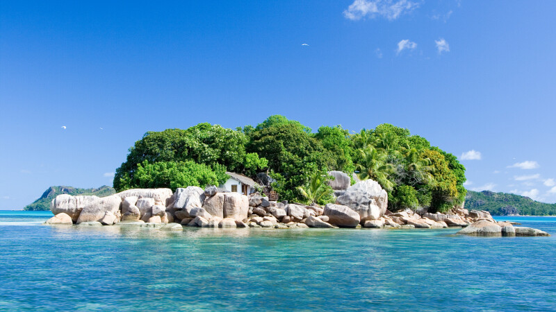 Palm-Tree_0713.jpg