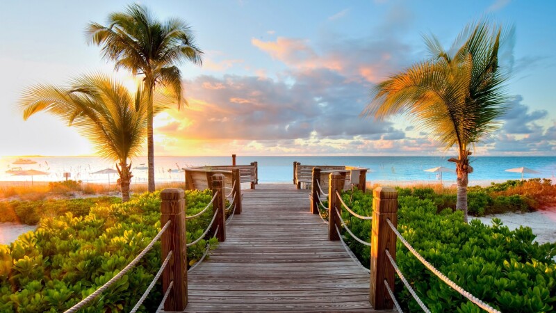 Palm-Tree_0720.jpg