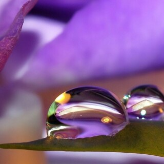 Water-Drop_0691