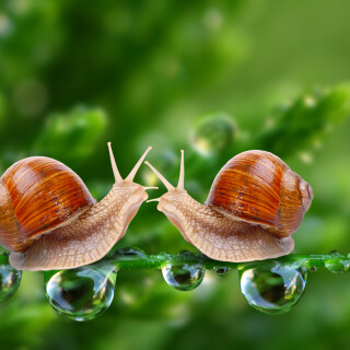 Water-Drop_0866
