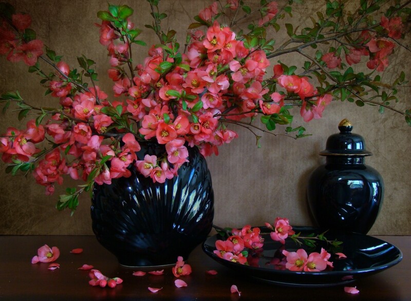 Blossom 0914