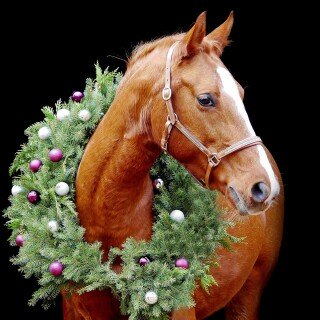 Christmas-Ornaments_0058