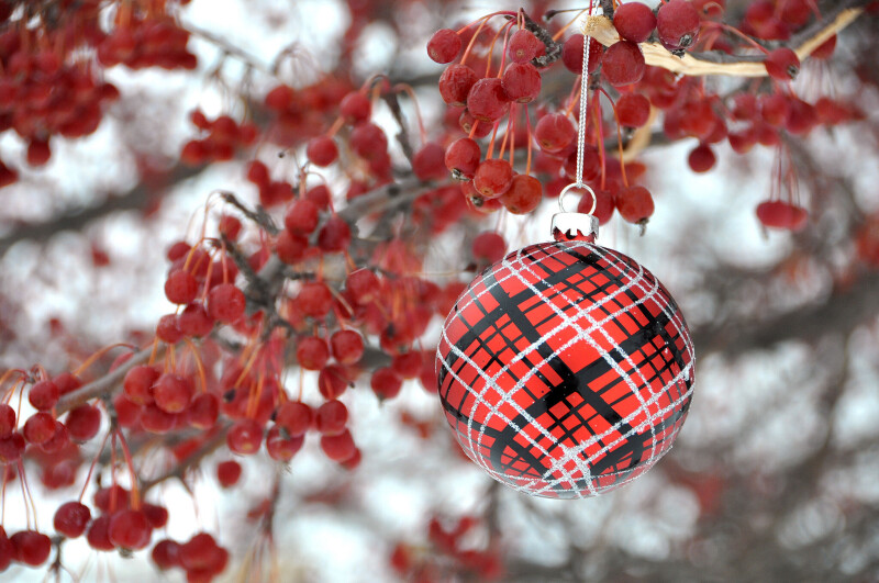 Christmas-Ornaments_0122.jpg