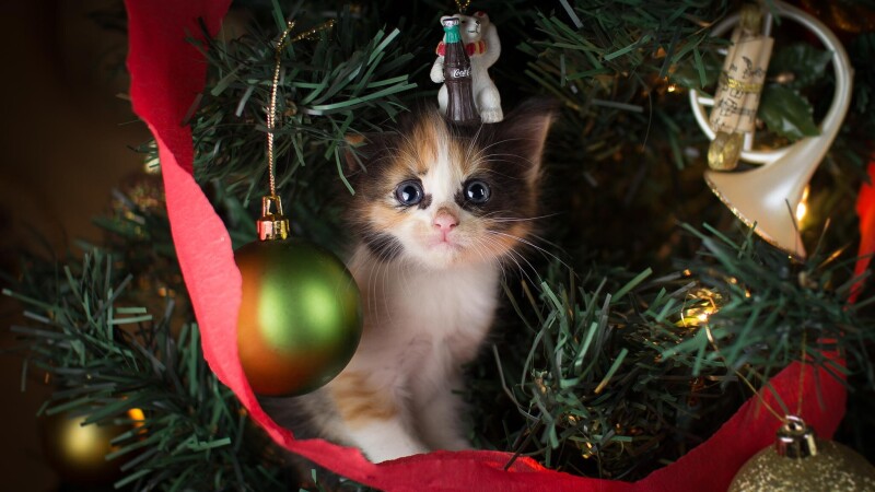 Christmas-Ornaments_0858.jpg