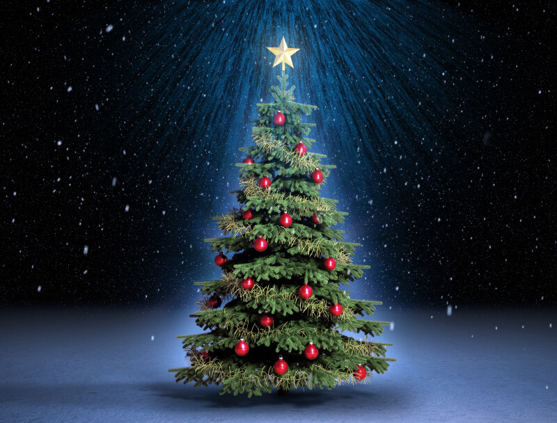 Christmas-Tree_0078.jpg