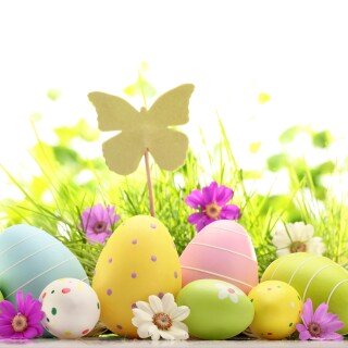 Easter-Egg_0056