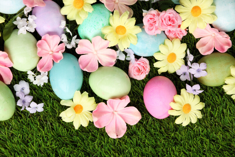 Easter Egg 0202