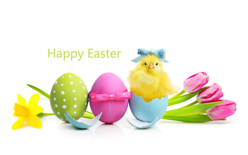 Easter Egg 0211