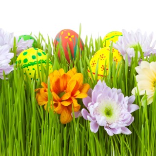 Easter-Egg_0249
