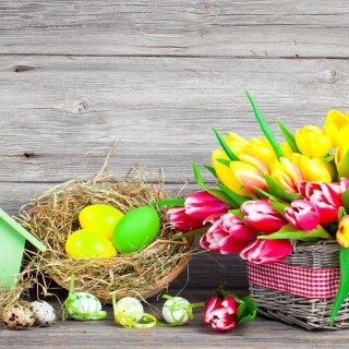 Easter-Egg_0250