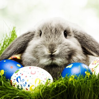 Easter_20039