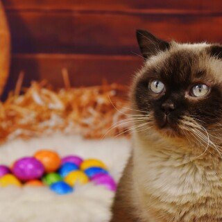 Easter_20087